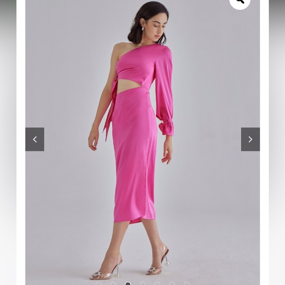 NEW without Tags SILK MAISON Pink Palace Silk Dress - Picture 3 of 11